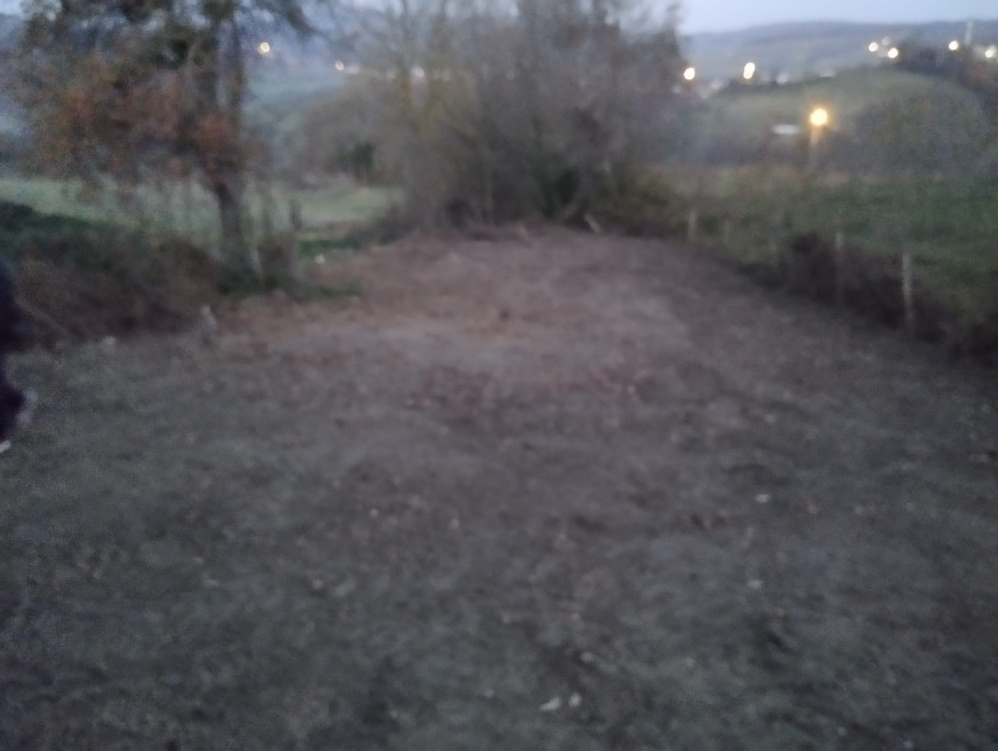 Fotoğraf